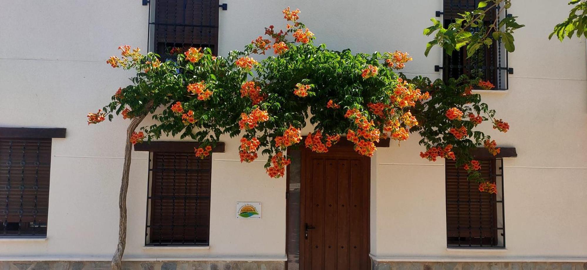 El Molino De Alatoz Villa Exteriör bild